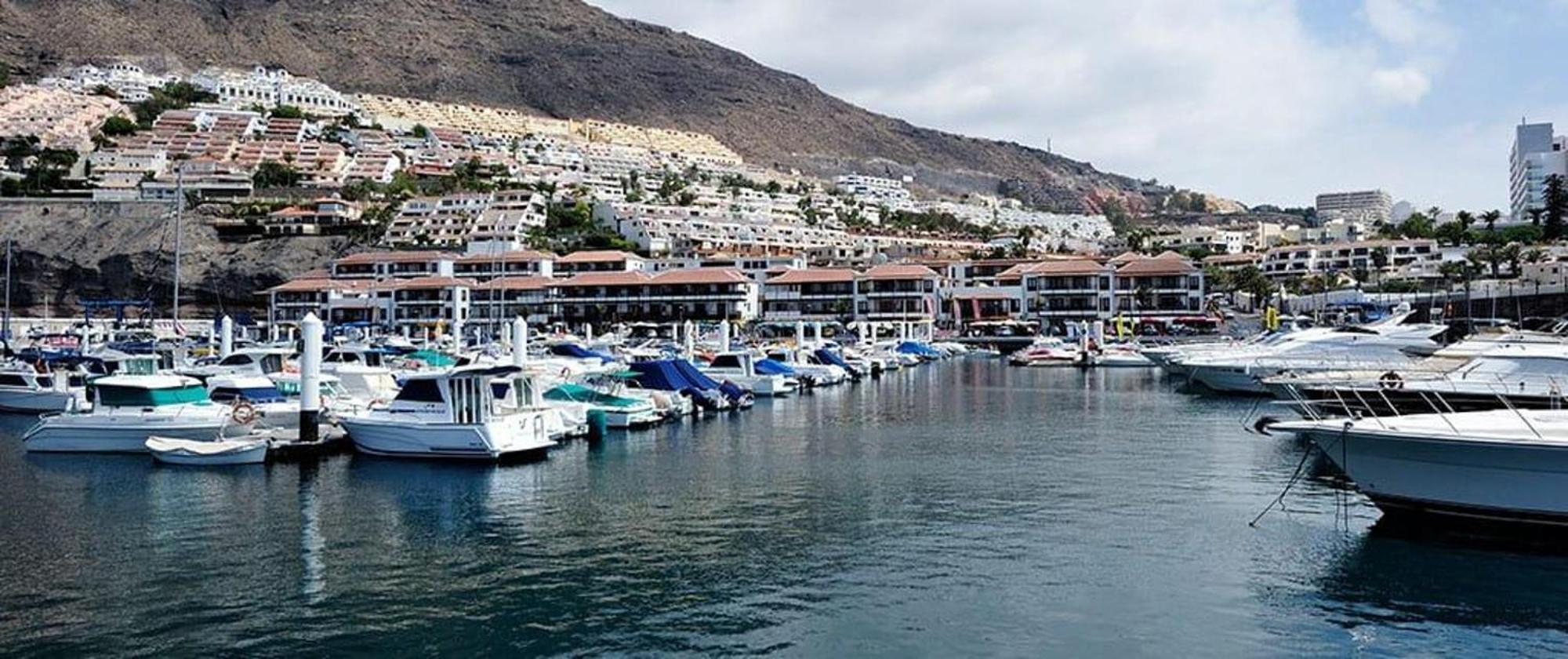 Ocean View Paradise In Los Gigantes Apartment Acantilado de los Gigantes Exterior photo