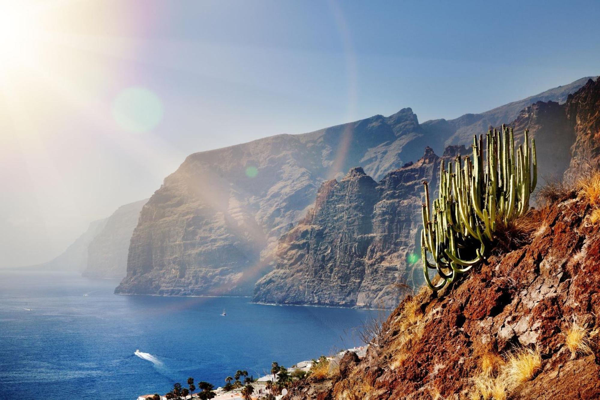 Ocean View Paradise In Los Gigantes Apartment Acantilado de los Gigantes Exterior photo